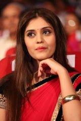 Express Raja Audio Launch